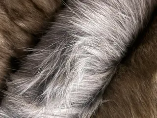 Felpas - Moda y Hogar - Almacén Gran Colombiano, Loja, Ecuador